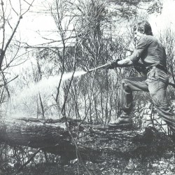 Forestier sapeur en action (1978) / © DR
