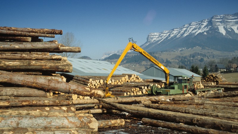 Un rapport pour la filière bois
